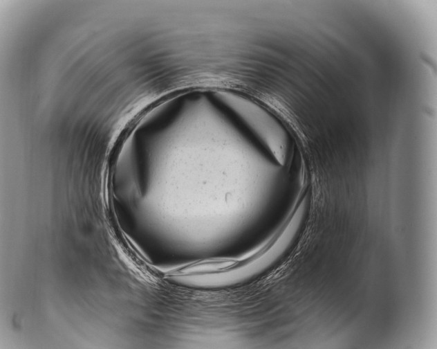 X0000100381128200806201644