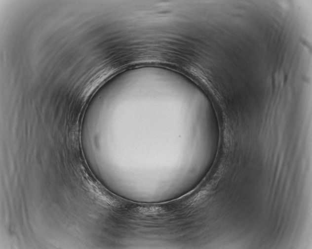 X0000100381129200806201644