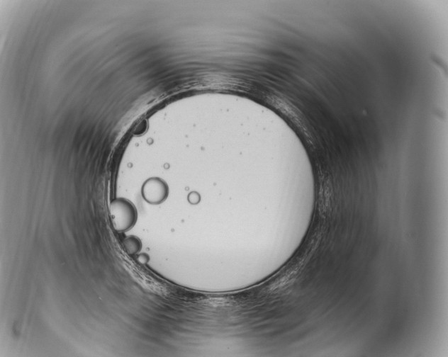 X0000100381130200806201644