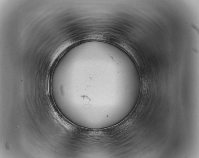 X0000100381131200806201644