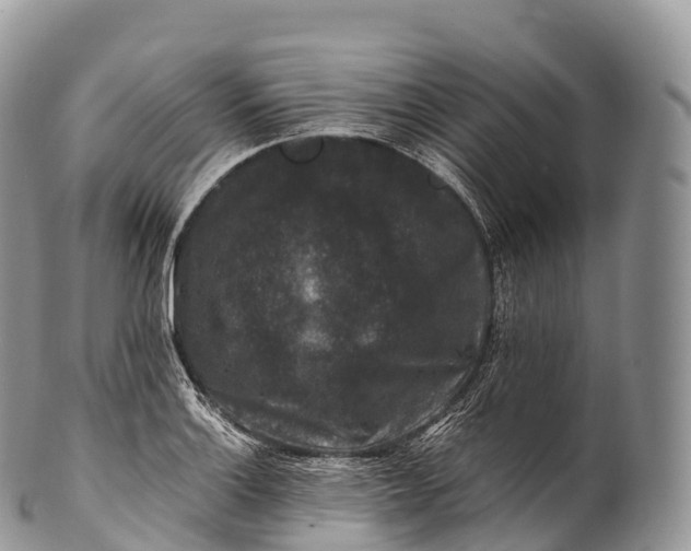 X0000100381132200806201644