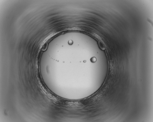 X0000100381133200806201644