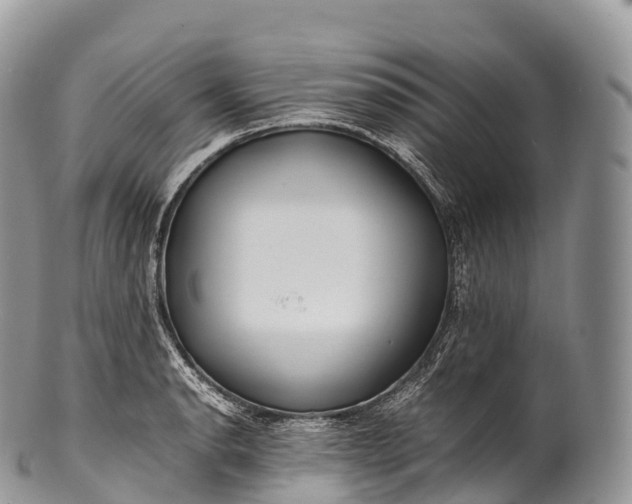 X0000100381134200806201644