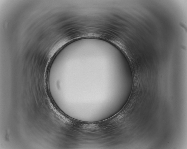 X0000100381135200806201644