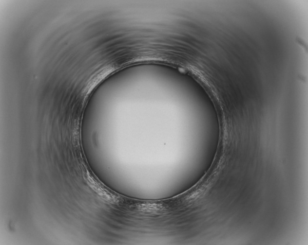 X0000100381137200806201644