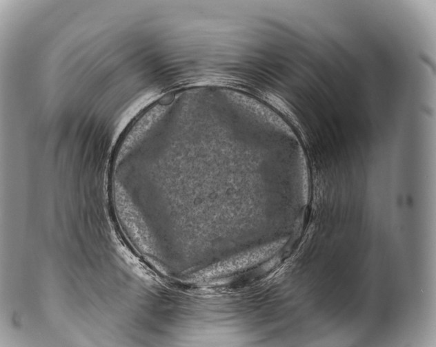 X0000100381138200806201644