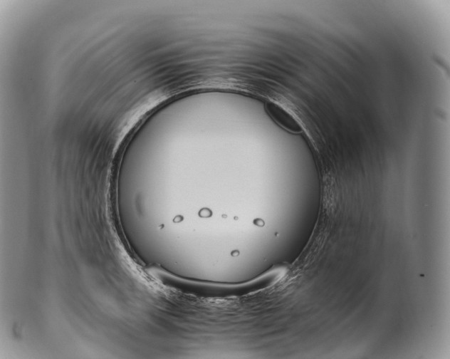 X0000100381139200806201644