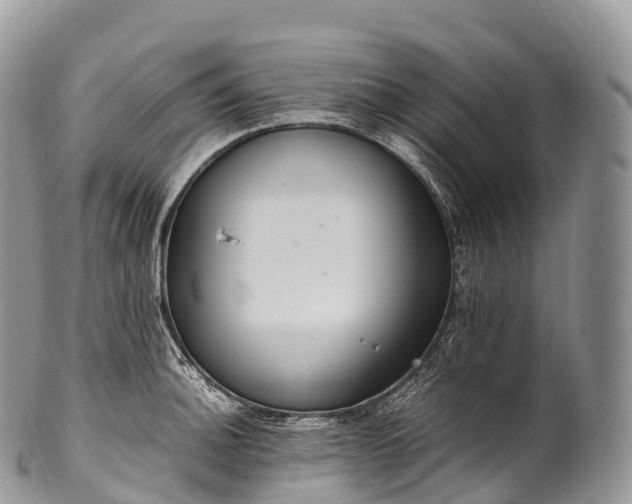 X0000100381140200806201644