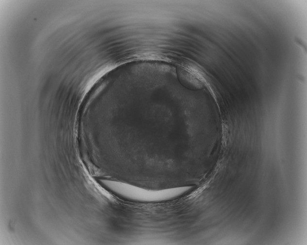 X0000100381141200806201644