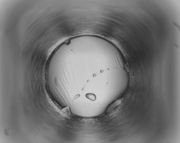 X0000100381142200806201644