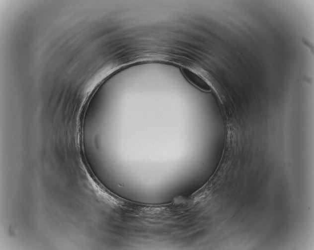 X0000100381143200806201644