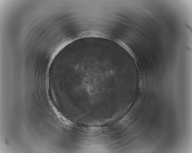 X0000100381144200806201644