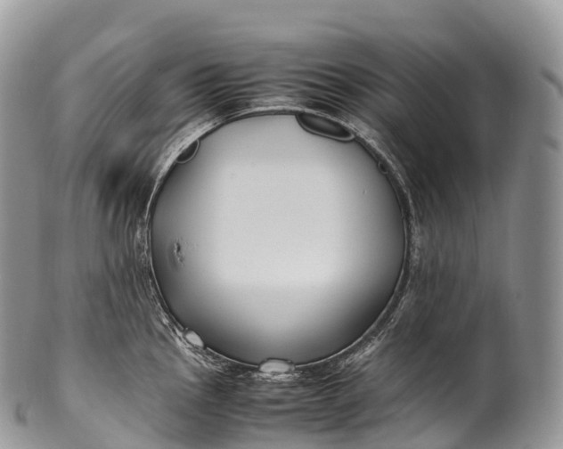 X0000100381145200806201644