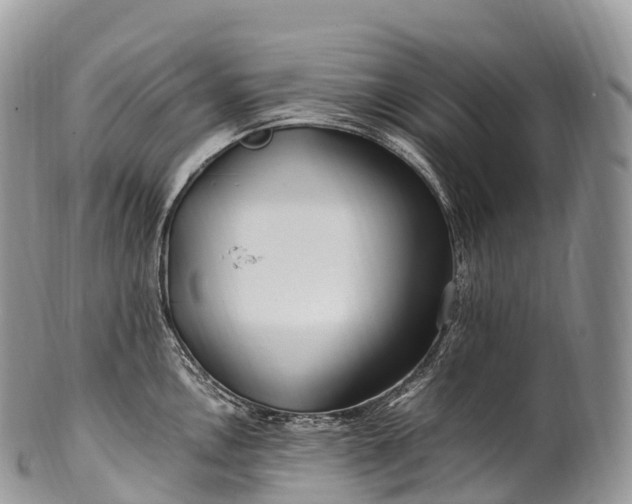 X0000100381146200806201644