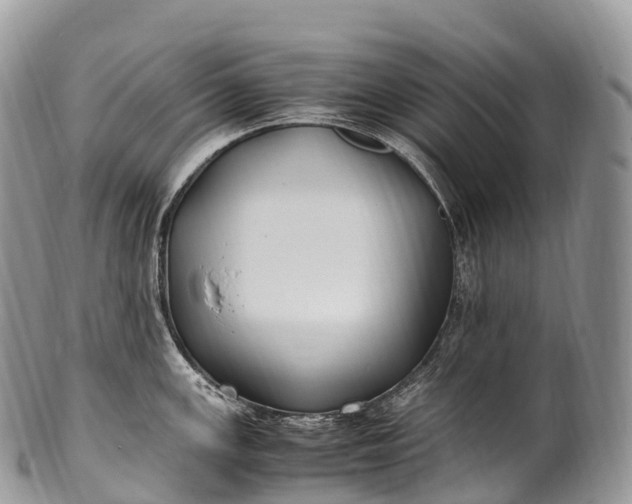 X0000100381147200806201644