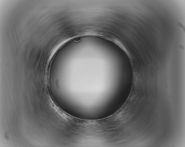 X0000100381148200806201644