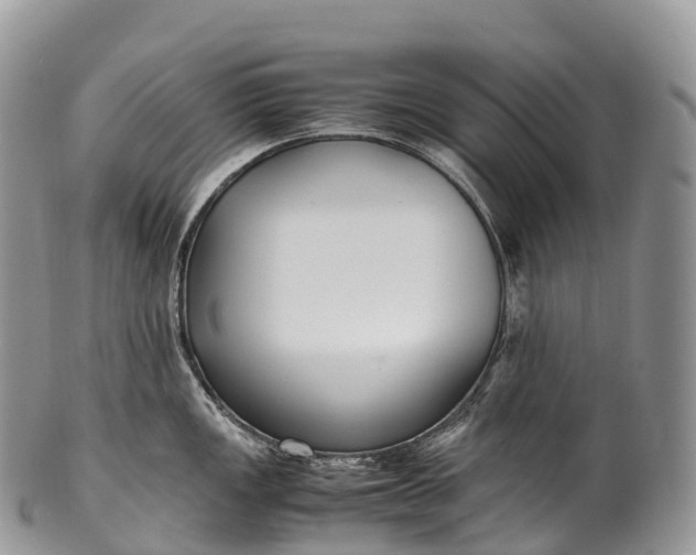 X0000100381149200806201644