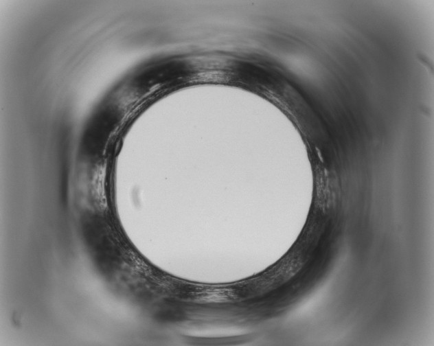 X0000100381150200806201644