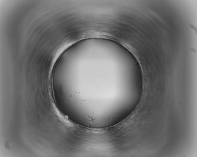 X0000100381152200806201644