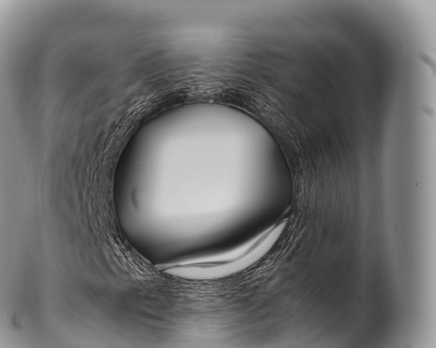 X0000100381153200806201644