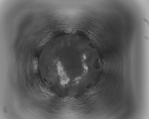 X0000100381154200806201644