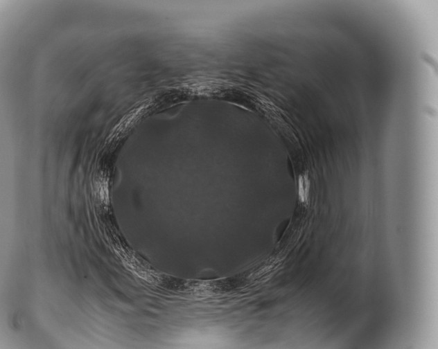 X0000100381155200806201644
