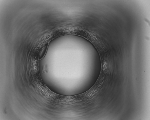 X0000100381156200806201644