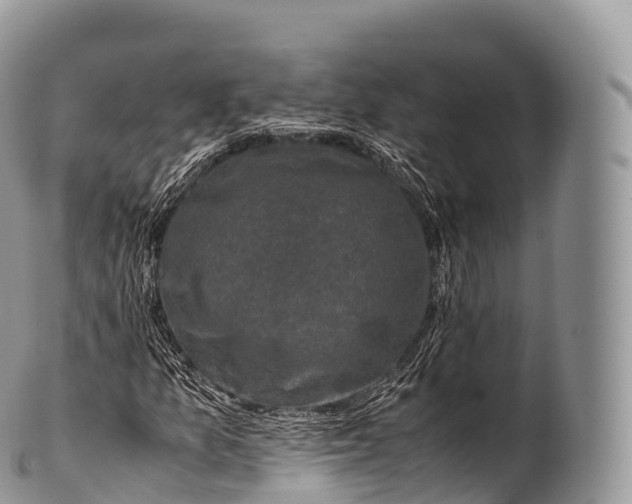 X0000100381157200806201644