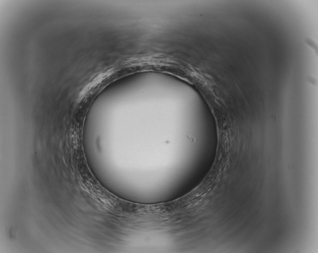 X0000100381159200806201644