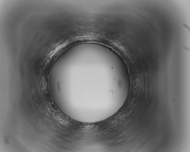 X0000100381160200806201644