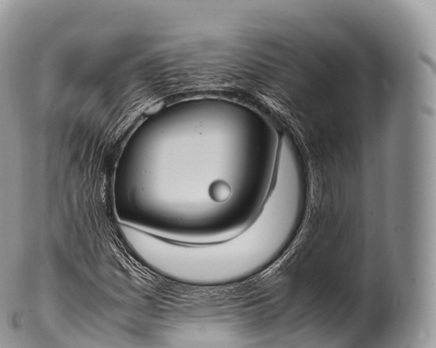 X0000100381161200806201644