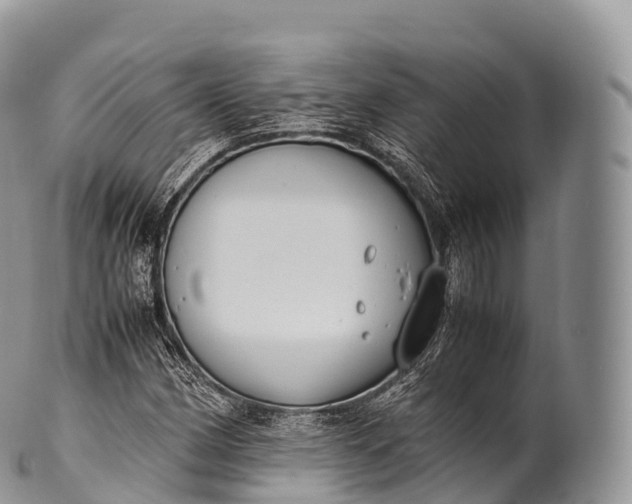 X0000100381162200806201644