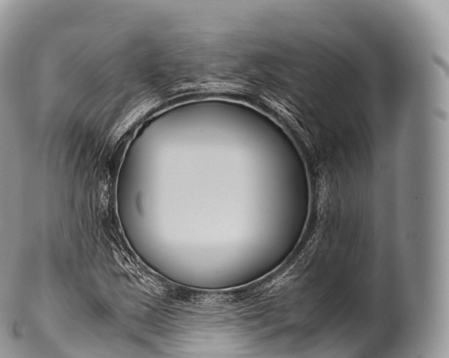 X0000100381163200806201644