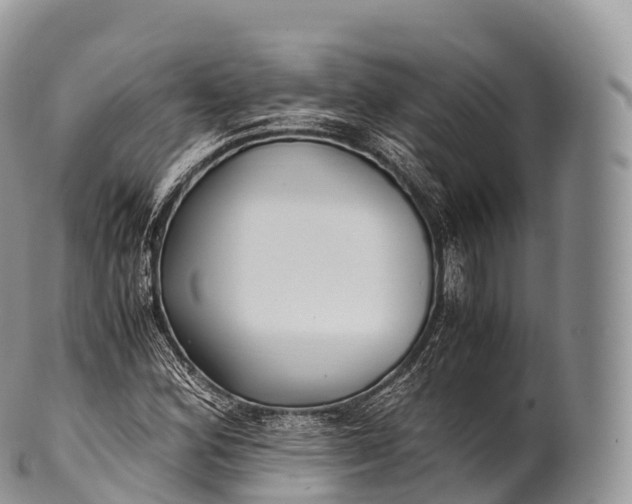 X0000100381164200806201644