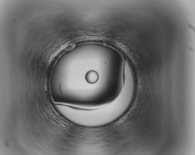 X0000100381165200806201644