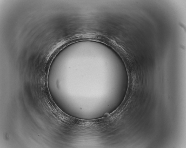 X0000100381166200806201644