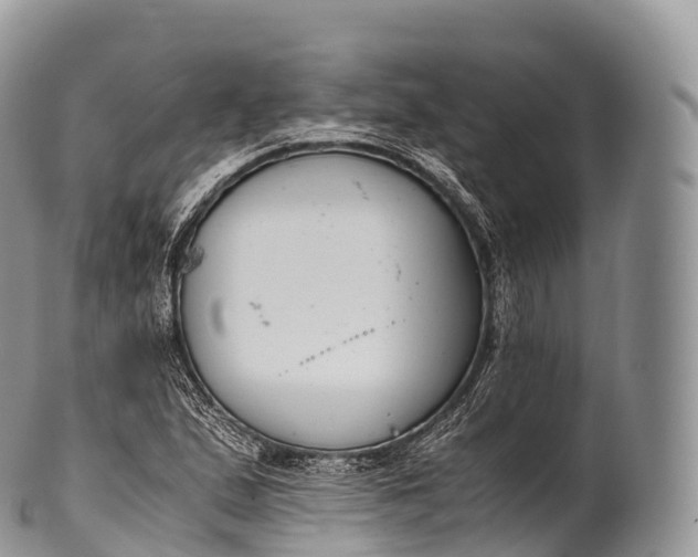 X0000100381167200806201644