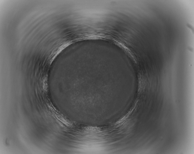 X0000100381170200806201644