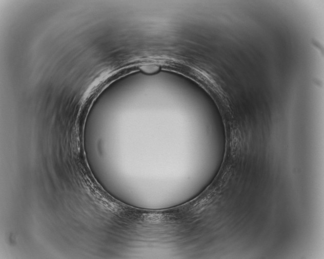 X0000100381172200806201644