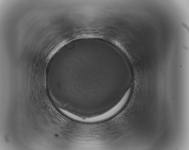 X0000100381173200806201643