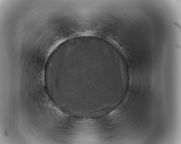 X0000100381174200806201643