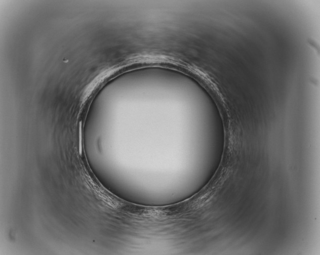 X0000100381175200806201643