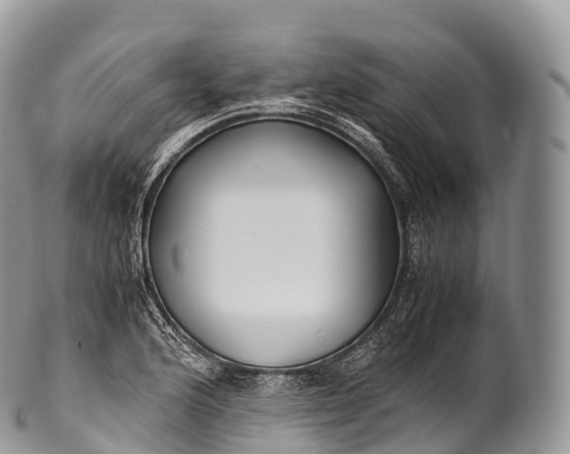 X0000100381176200806201643