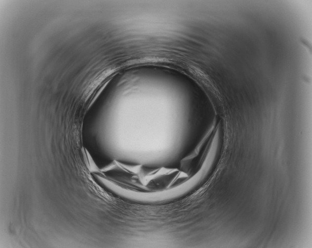X0000100381177200806201643