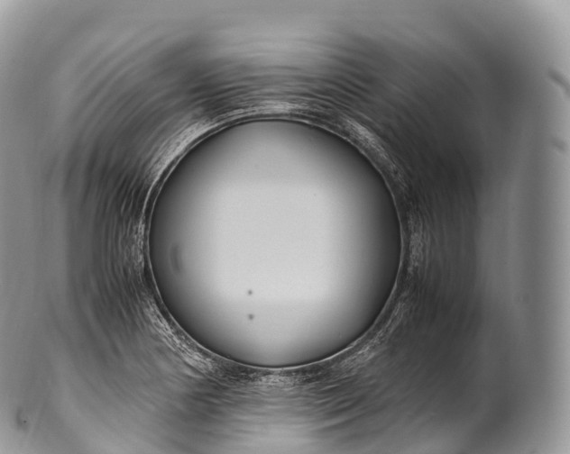 X0000100381178200806201643