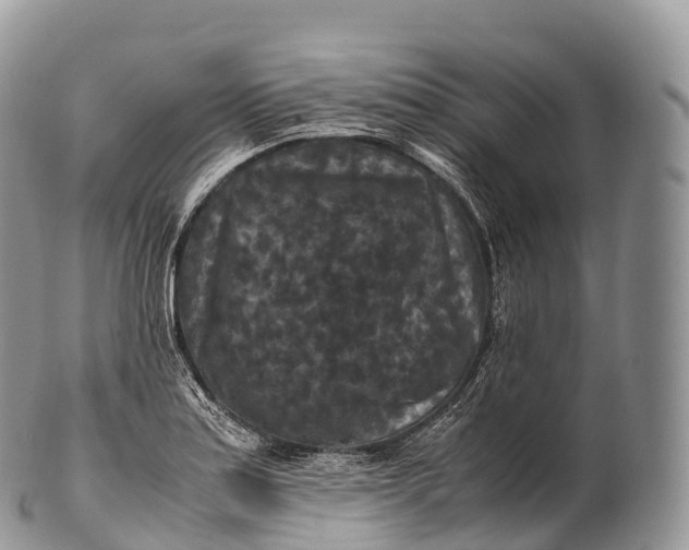 X0000100381179200806201643