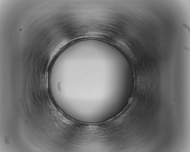 X0000100381180200806201643