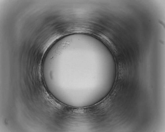 X0000100381182200806201643