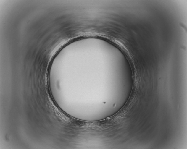 X0000100381183200806201643