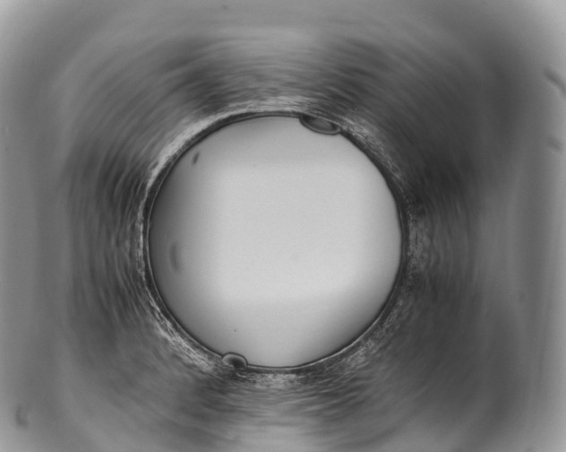 X0000100381184200806201643